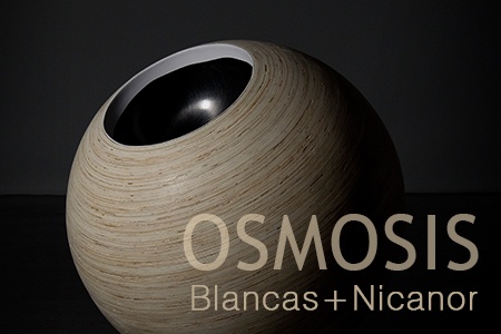 osmosis.jpeg