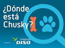 dondeestachusky.jpg