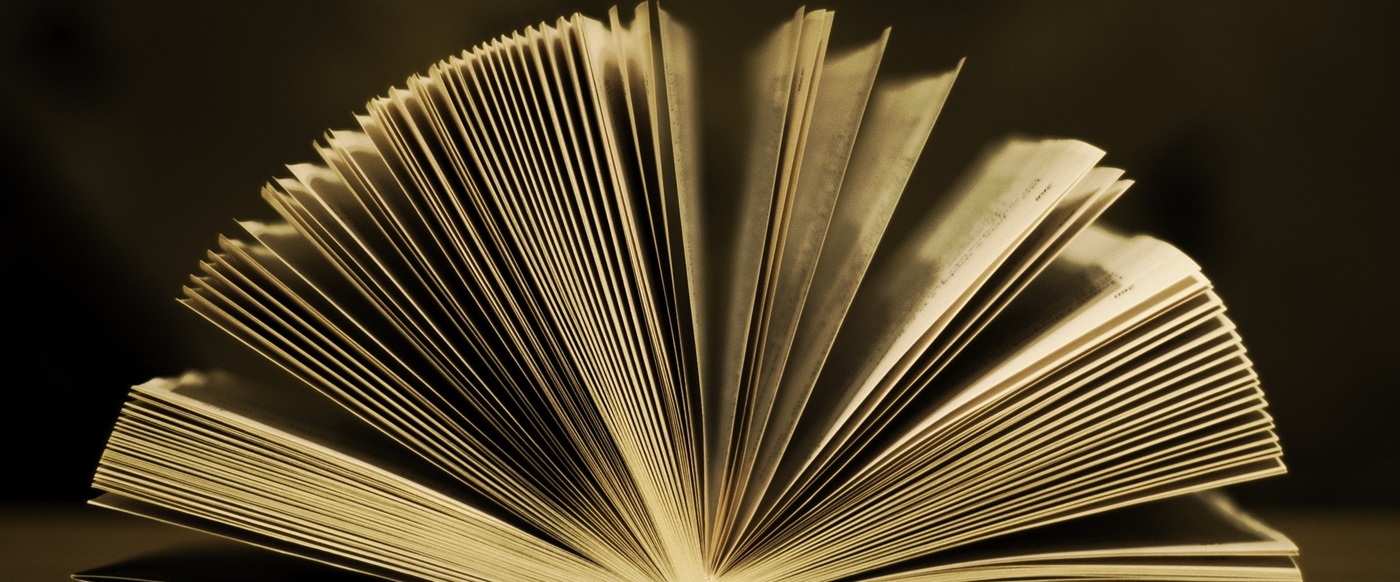 libro_2.jpg